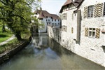 Schloss Hallwil (23)